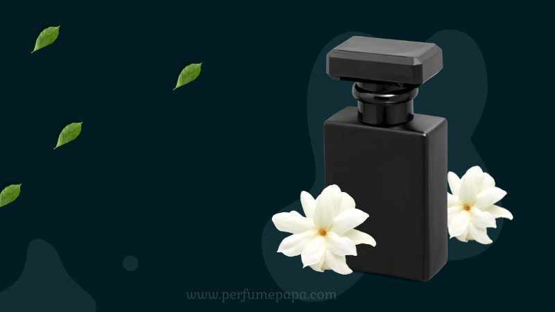 Best Office-Friendly Perfumes for Work: Subtle Scents