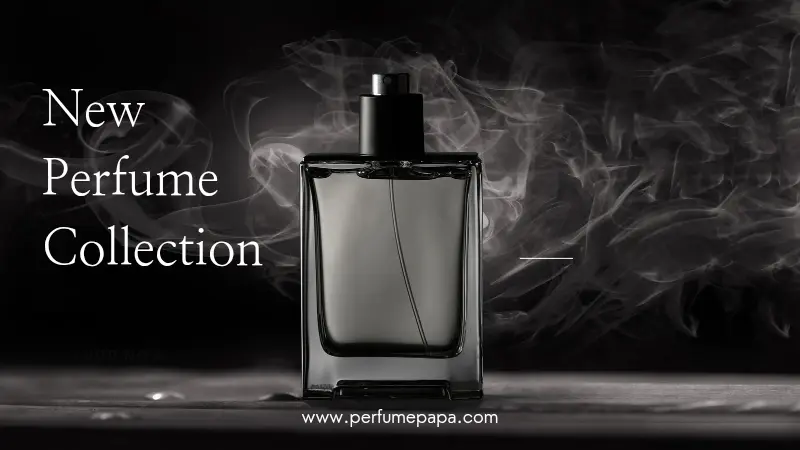 Best Woody Perfumes: Make a Bold Statement with Earthy Scents